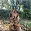 Urki noch so jung, will durchstarten