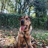Urki noch so jung, will durchstarten