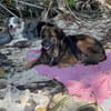 Bobby, cherche toujours sa famille
