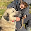 Ben - charmante Herz auf vier Pfoten ❤