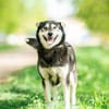 Frohnatur Lina sucht ihre Familie
