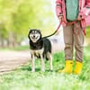Frohnatur Lina sucht ihre Familie