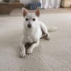 Masha ist so liebenswert und bescheiden!