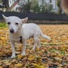 Masha ist so liebenswert und bescheiden!