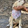 Sensibles soziales Hundekind SADY ♥