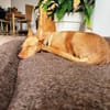 Maite unsere kleine Mutter Courage