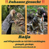 Die liebe 💕Raija 💕sucht ihre Menschen