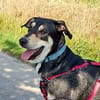 BUZZ  jung, stark und voller Liebe