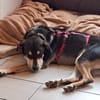 BUZZ  jung, stark und voller Liebe