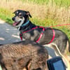 BUZZ  jung, stark und voller Liebe