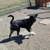 FRIEDA - (freundlich, offen, ruhig)