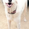ELMA (Rescate)
