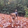 Cindy sucht eine neue Familie