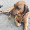 Liebenswerter Senior sucht Nähe