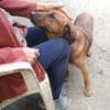 Liebenswerter Senior sucht Nähe