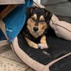 REMO -Lieb & unkompliziert-