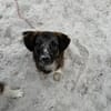 RUNA -zauberhafter Charakter-