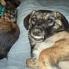 RUNA -zauberhafter Charakter-