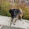 RUNA -zauberhafter Charakter-