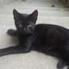 ACHILLE