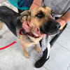 NALA (Rescate)