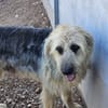 OTTO (Rescate)