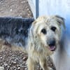 OTTO (Rescate)