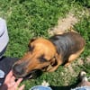 Tara SI, freundlich und aufgeschlossen