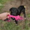 Chico sucht sein Happy End