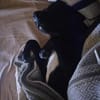 Chico sucht sein Happy End