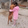 Rufo sucht eine Familie zum Liebhaben
