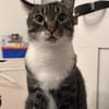 Nami sucht ein liebevolles Zuhause