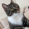 Nami sucht ein liebevolles Zuhause