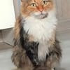 Eine Prinzessin sucht zu Hause