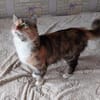 Eine Prinzessin sucht zu Hause