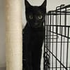 Apollo sucht DICH!