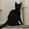 Apollo sucht DICH!