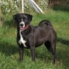 Bella - Mama sucht Für-Immer-Körbchen