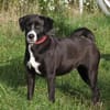 Bella - Mama sucht Für-Immer-Körbchen