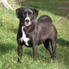 Bella - Mama sucht Für-Immer-Körbchen