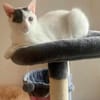 Penny und Pepe suchen ein Zuhause