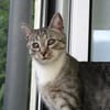 Moody -1 Jahr- FelV+ -Blind- verspielt