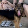 OLIVER (Maria)