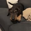 MARLEY