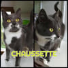 CHAUSSETTE