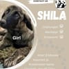 Shila wartet noch auf ihr Glück