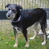 Zara sucht liebe Menschen