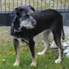 Zara sucht liebe Menschen