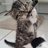 ***ANTON, PÜNKTCHEN und FRIDA!***