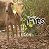 Fito ist auf dem Weg zum Glück